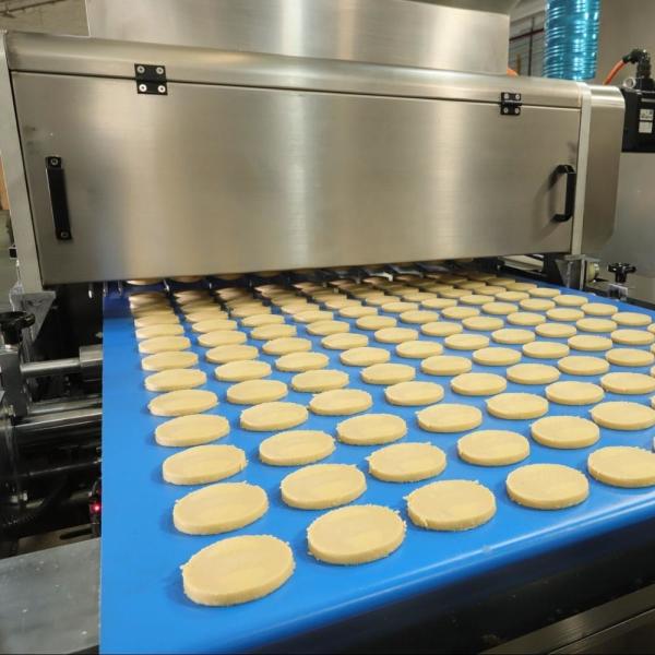 A cookie comercial automática que faz o fio da máquina cortou a linha de produção da cookie com forno de túnel
