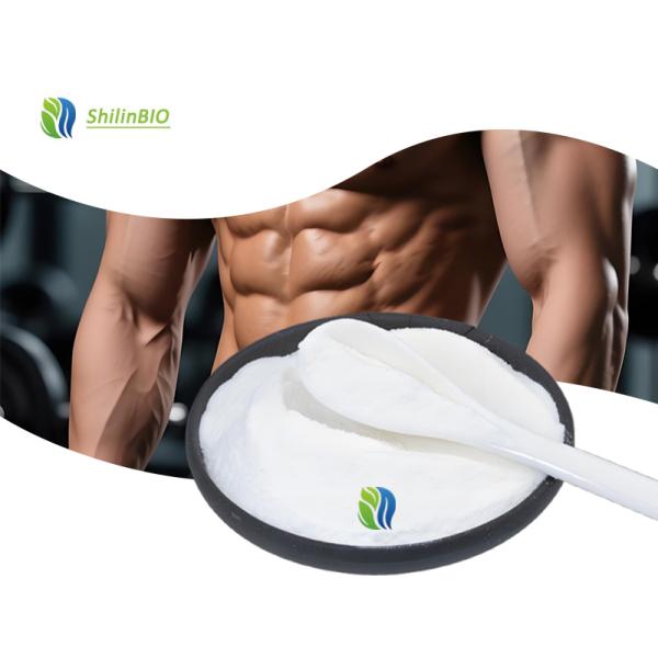 Leucine Bulk Powder