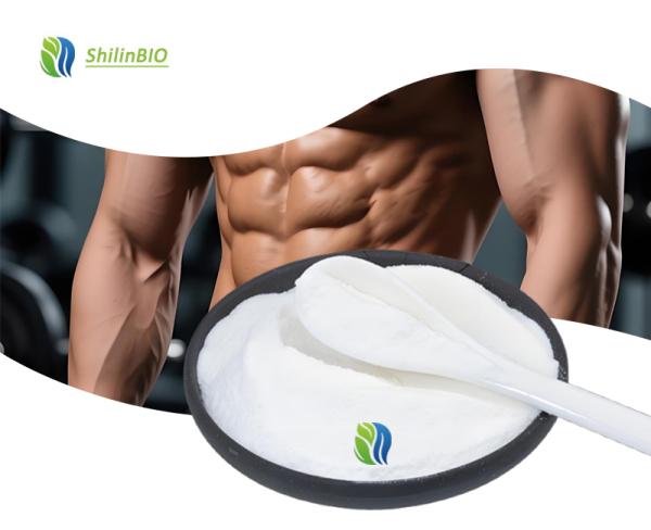 Leucine Bulk Powder