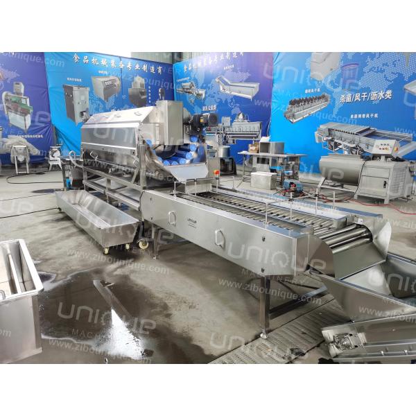 Big Capacity Continuous Brush Potato Peeling Machine Carrot Washing and Polishing Machine