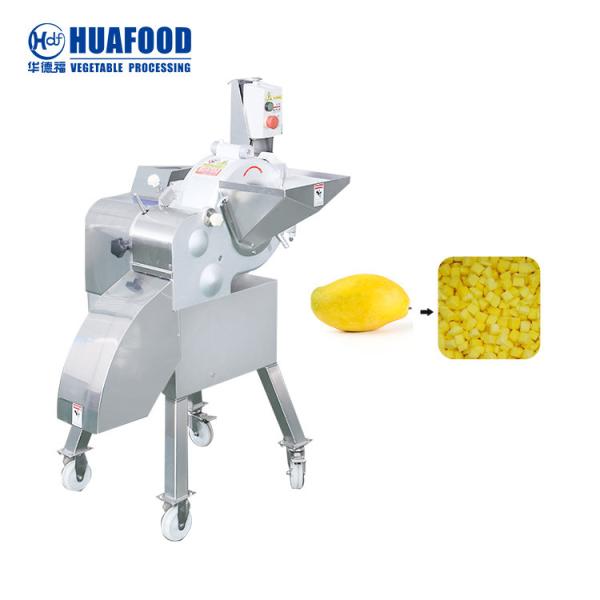 Multifunctional Green Onion ginger Vegetable Chopper Vegetable Cutting Machine Fruit Cutter Power Technical Sales Video