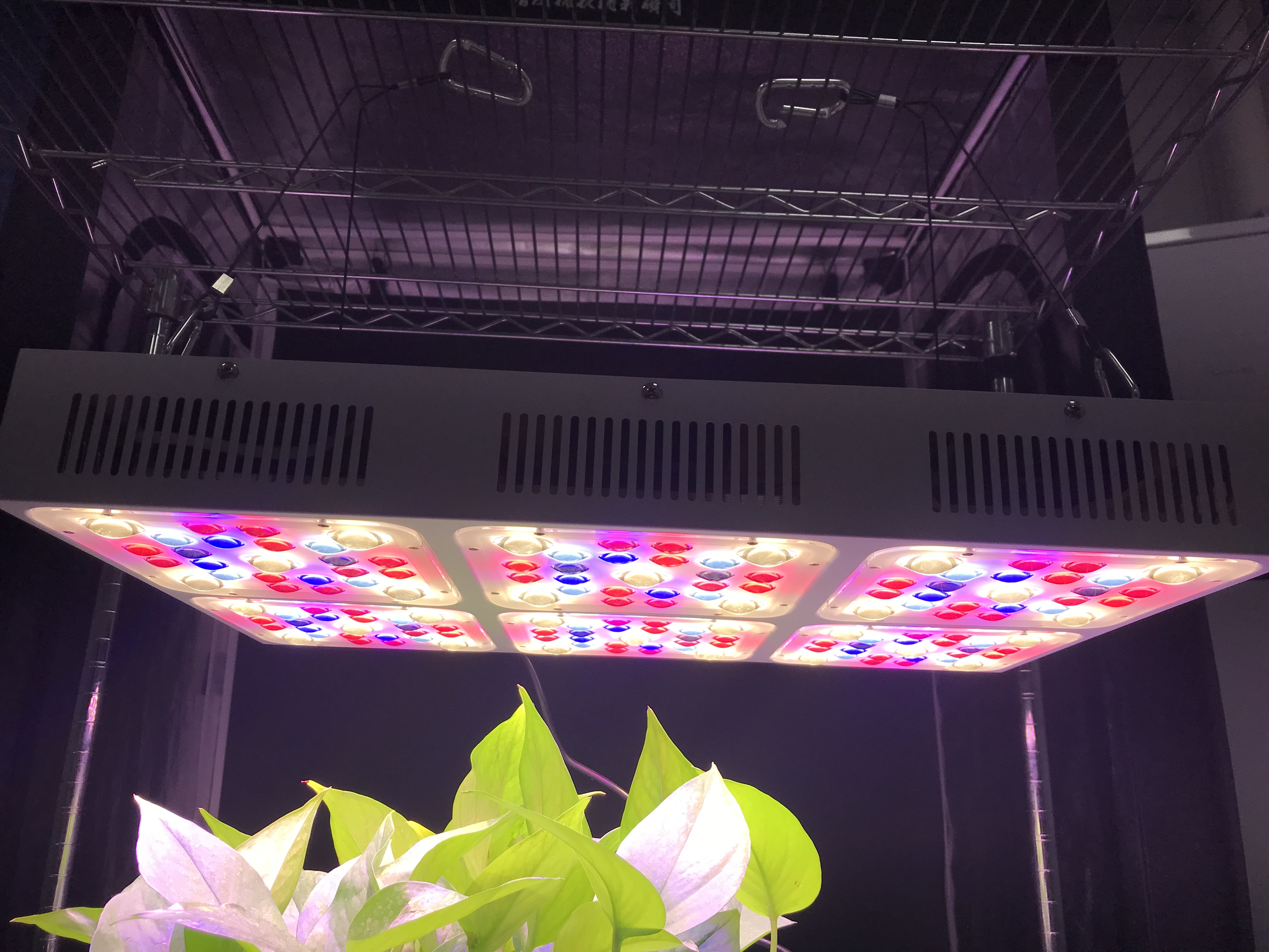 панель СИД инфракрасн полного спектра 570W УЛЬТРАФИОЛЕТОВАЯ растет светлой