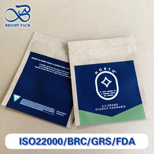 Custom Printed Kraft Paper Bags Bulk Order Eco-Friendly 10-Color Logo Printing Retail.