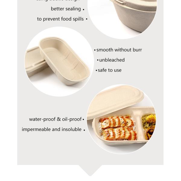 TUV 6 Inch 5 Inch Moulded Clamshell Mini Burger Box