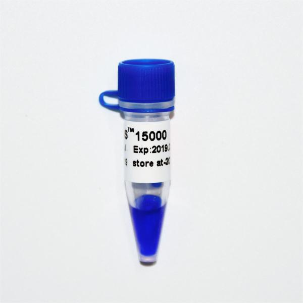 Escada M1161 do marcador do ADN DS15000 (50μg) /M1162 (5×50μg)