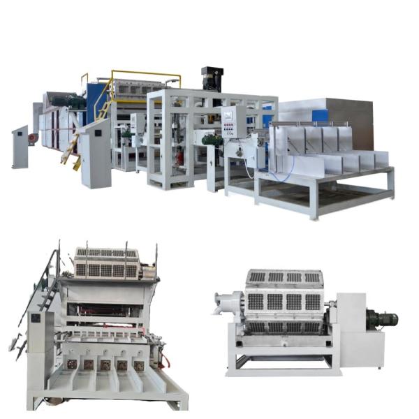 Big Capacity Waste Paper Material Automatic Paper Pulp Molding Egg Tray Machine / Egg Tray Production Line