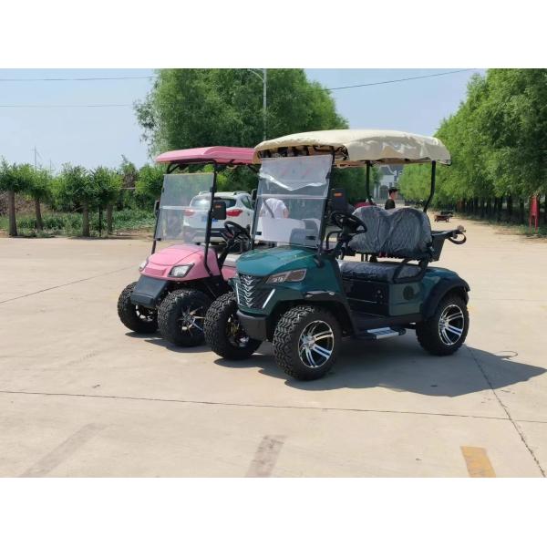 4 plazas Classic Golf ofrece OEM y ODM soporta colores personalizados y logotipo adecuado para campos de golf privados