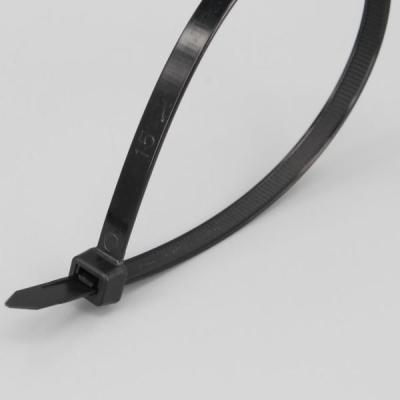 DM-4.8x300mm DEMOELE Hot sale self-locking PA66 nylon material cable ties meet for wire wrapping