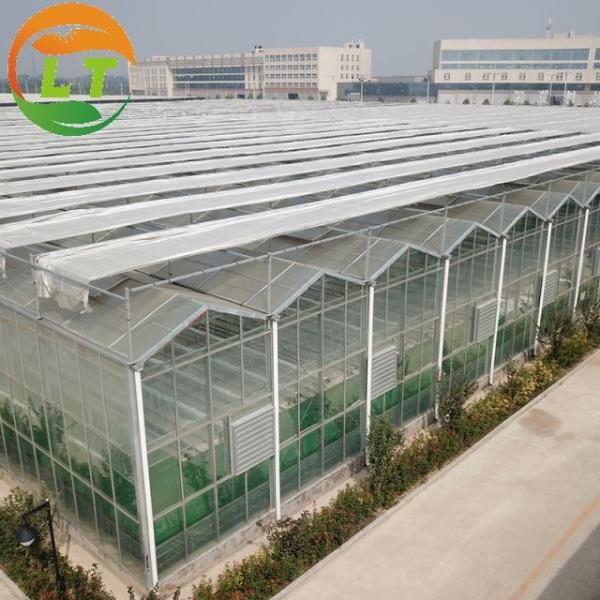 Fertilização de plantas Esqueleto de vidro multi-span com comprimento personalizável de até 50 m