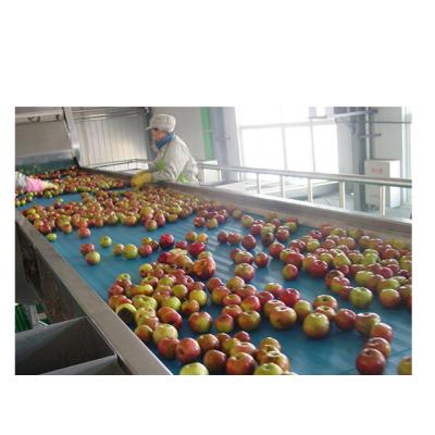Fabricação de fábrica na China linha de produção de suco concentrado de frutas frescas Linha de produção de suco de frutas