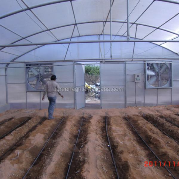 Windproof Single Tunnel Greenhouse With Greenhouse Pad And Fan Cooling System