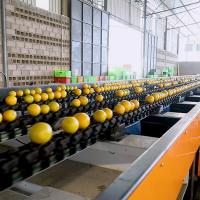 Máquina de triagem de laranja com certificado CE MD até 50 graus com alta eficiência e precisão