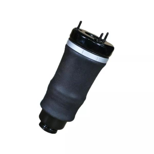 W251 Kit de molas de ar Frente