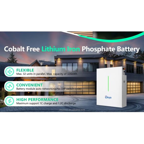 Deye RW-F10.2 LiFePO4 Lithium Ion Energy Storage Battery Wall-Mounted Solar Power System with Lithium Batteries