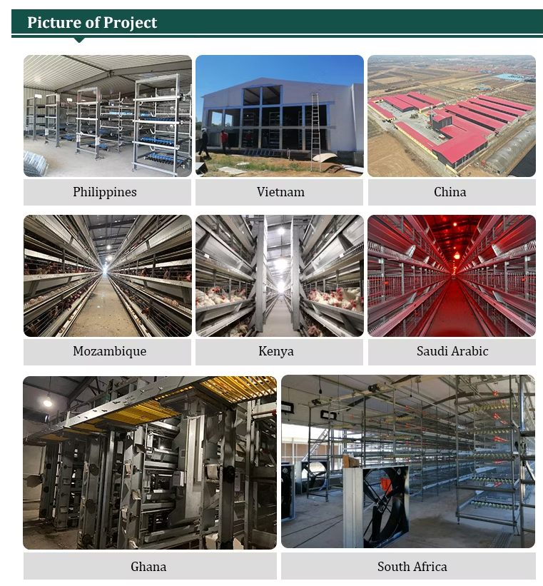 4 Tier H Type Fully Automatic Battery Layer Chicken Cage with Galvanized Steel Poultry Farming Equipment