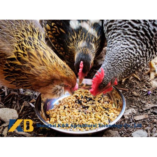 65% Protein Content Broiler Chicken Feed  For Poultry Livestocks Growing