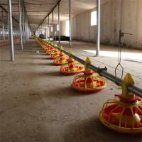 Système d'alimentation en acier inoxydable pour volailles 50 à 100 poulets/heure