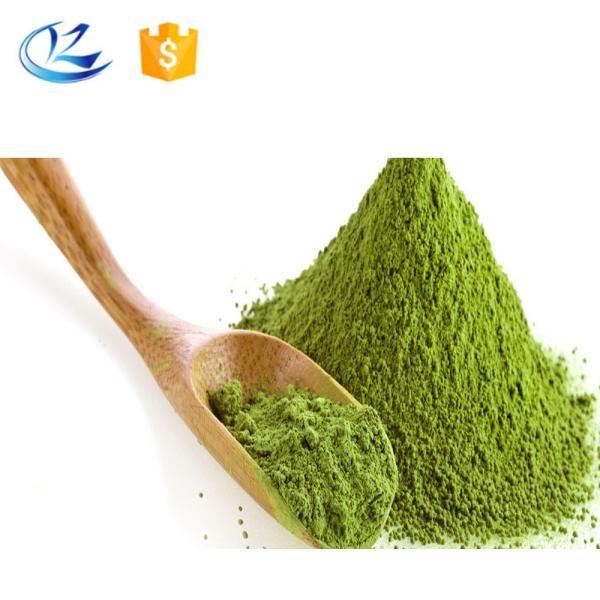 Odm Protéine de pois et de riz végétalienne biologique en poudre pour aliments, Cas 9000-70-8