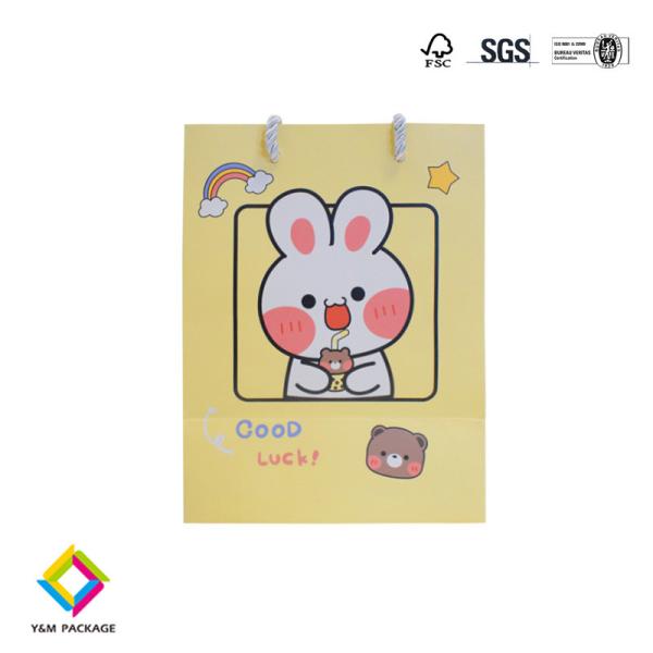 Laminated Paper Bags For Gift Custom Logo Gift Bag With Ribbon Handle