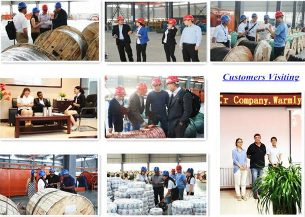 XLPE Insulated ABC Cable Overhead Duplex wire Aluminum Conductor Aerial Bundle cable