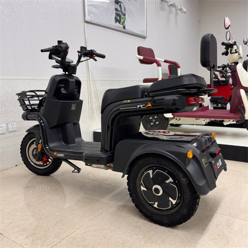 Compact Black 2-Seater Electric Tricycle with 500W Dual Motor and Flexible Storage Space