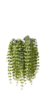 Spinulosa Fern Plants Bushes Fake Shrubs Greenery Plants Faux Fern Snakewood Outdoors UV Resistant Garden Plants