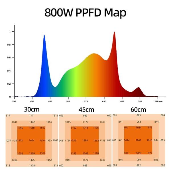 8 bar Led Grow Light 800W en gros usine Direct Horticulture Samsung LM301H EVO LM281B pour les plantes commerciales intérieures