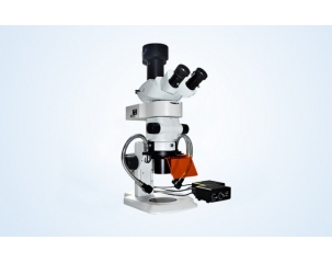 Stereo fluorescence microscope for GFP