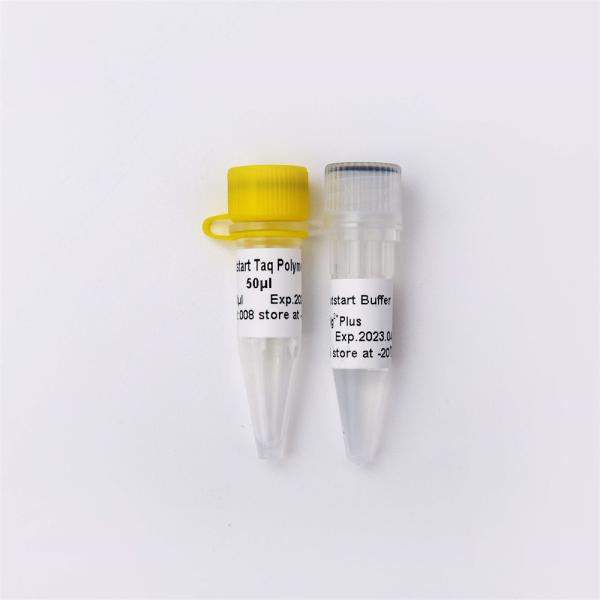 Optimus Hotstart Taq DNA Polymerase PCR Reagent Enzyme P1041