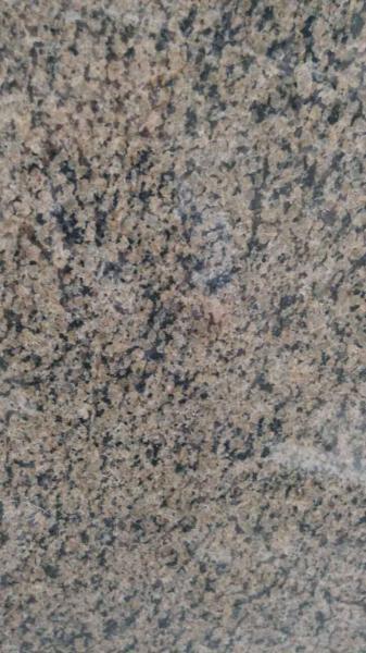 India Royal Gold Granite Tiles/Slabs, Natural Brown Yellos Granite Tiles/Slabs