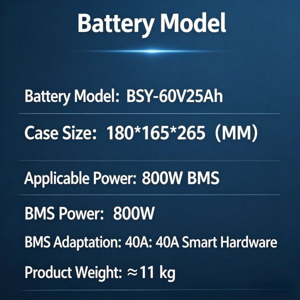 Customized 60V 25Ah Electric Scooter Lithium Battery Pack, BCSWINERGY Supplier With 40A Smart BMS