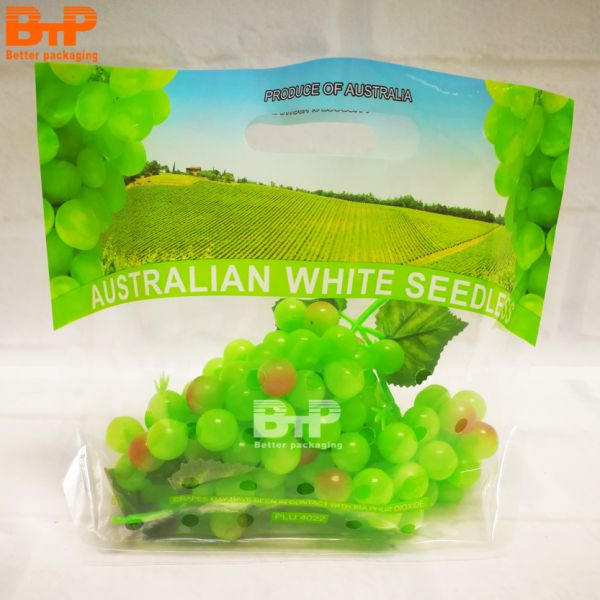 Biodegradable Material BOPP/CPP Orange Fresh Fruit Protection Packaging Zipper Bag With Hand Pick Hole