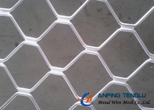 Beautiful Grid Mesh for Protection, Firm Structure & Corrosion Resistance