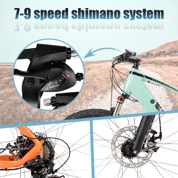 Light Green Thailand Electric City Bike 16.5AH Lithium Battery 250w