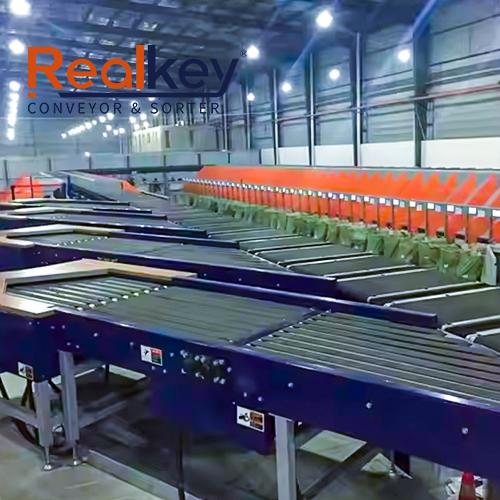 Versatile Cross Belt Sorter High Efficiency For International Shipping