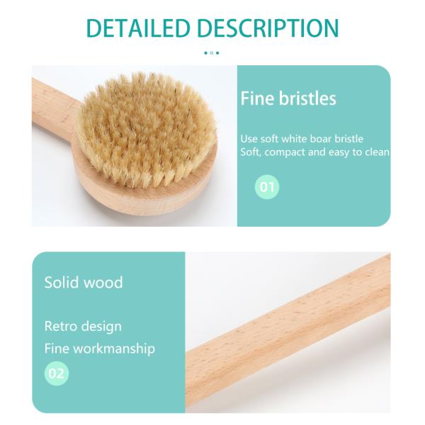 Escova corporal Vegan Redonda Pele natural Seca Massagem Chuveiro Escova para Spa