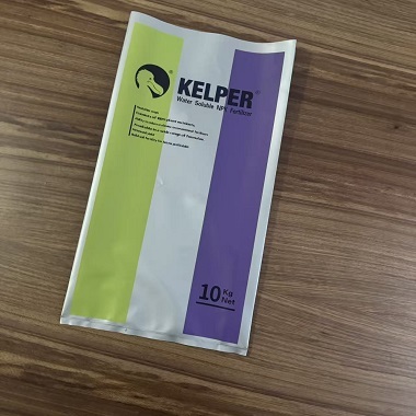 Multiple Sizes High-quality Cost-effective PE Bags with Secure Heat Seal