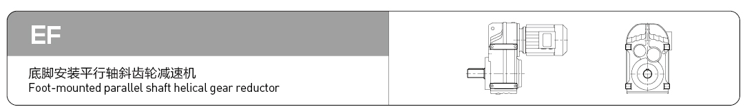 EF series parallel shaft helical gear motor