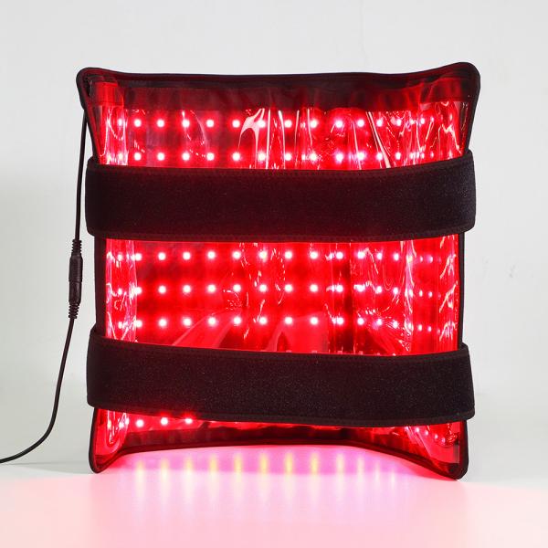 Red Light Therapy Equine Horse Waist Belt for Relief of Back Pain and Weight Loss