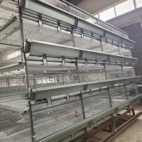 4 tipo equipo de las puertas q235 H de la parrilla de la batería 3 capas de la vertiente de las aves de corral