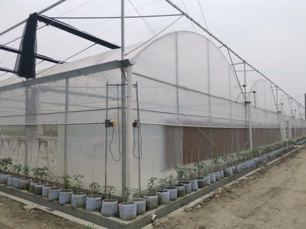 Flower Multi-tunnel Po Film Multi-span Greenhouse With Modern Automatic Control Equipment