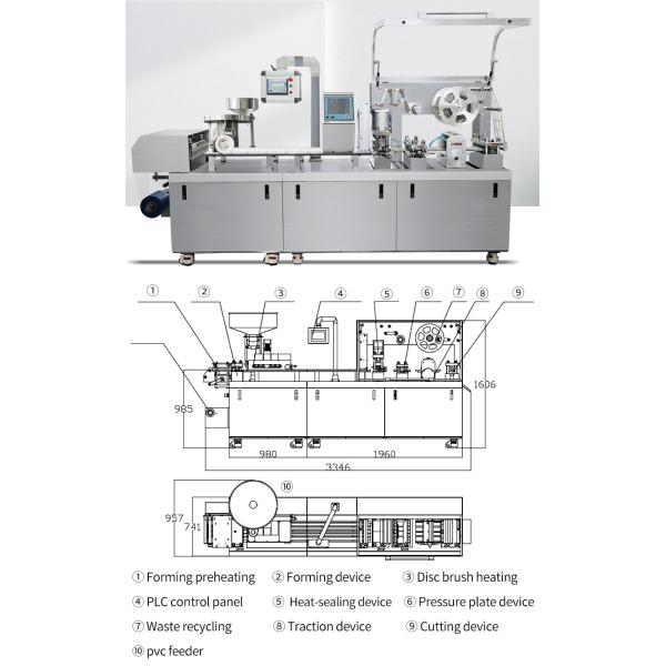 AL PL Blister Packing Machine Automatic Pill Tablet DPP