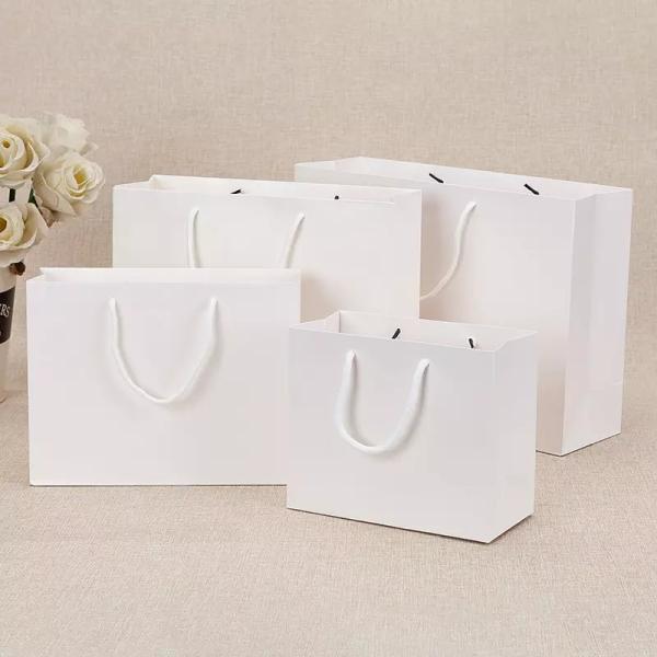 Jewellery Printed Paper Carrier Bags 200gsm Paper Gift Bag With Handles