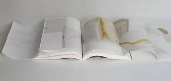 Custom Picture Book Printing Services Hardcover Book Perfect Offset Printing Service