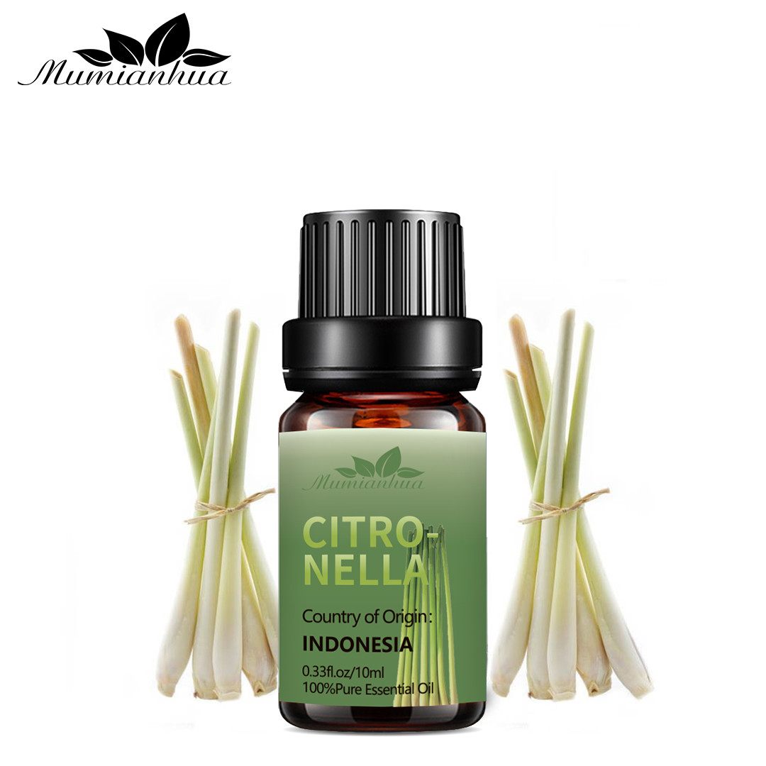 Кормя чистый массаж COA эфирного масла 10ml Citronella ароматности