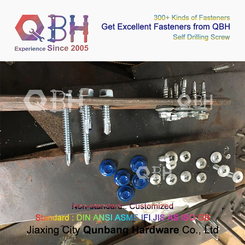Customized Truss Wafer Head SDS Screw Qbh 304 Stainless Steel