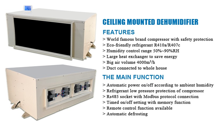 480L/D Factory Price Low Temperature Resistant Dehumidifier Big Capacity Greenhouse Laboratory Factory for Industrial