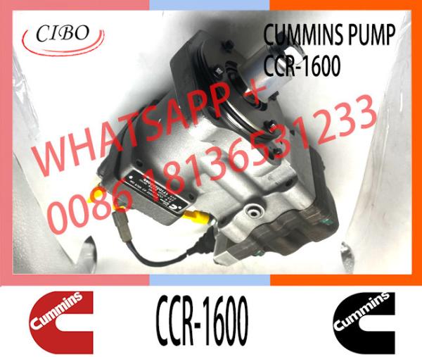 Conjunto original 3973228 CCR1600 da bomba do motor do combustível para o ccr 1600 da bomba 3973228 da injeção do motor de QSL
