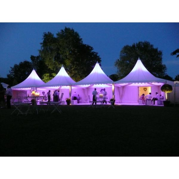 Lurury 10 x 10 Pagoda party Tent Canopy Outdoor Camping Hotel Tents