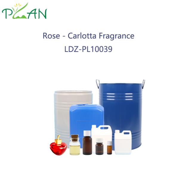 Concentrated Rose Carlotta Fragrance Oils Fragrance Essence 2.5kgs / Bottle